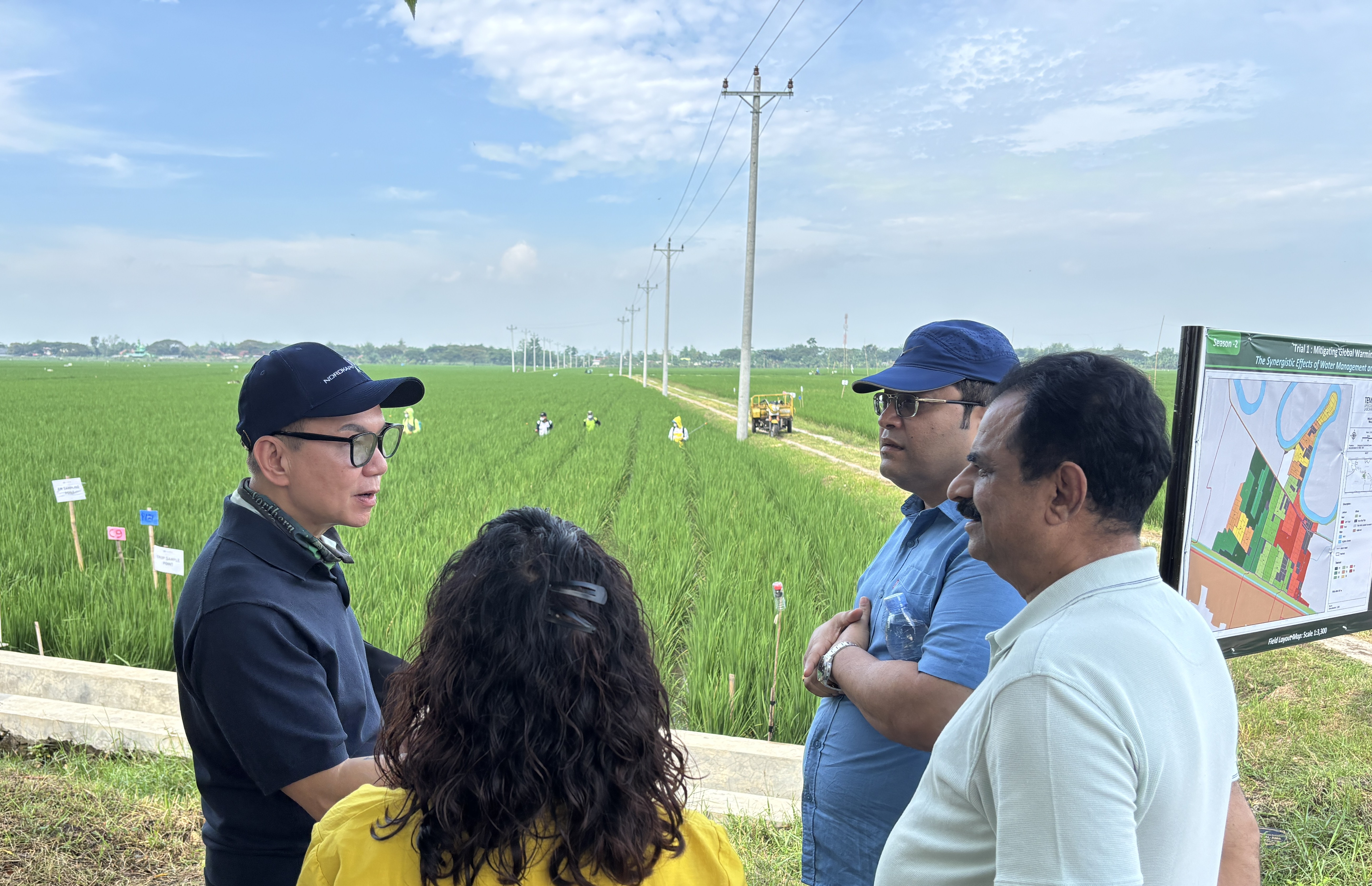 Decarbonising rice, one field at a time
