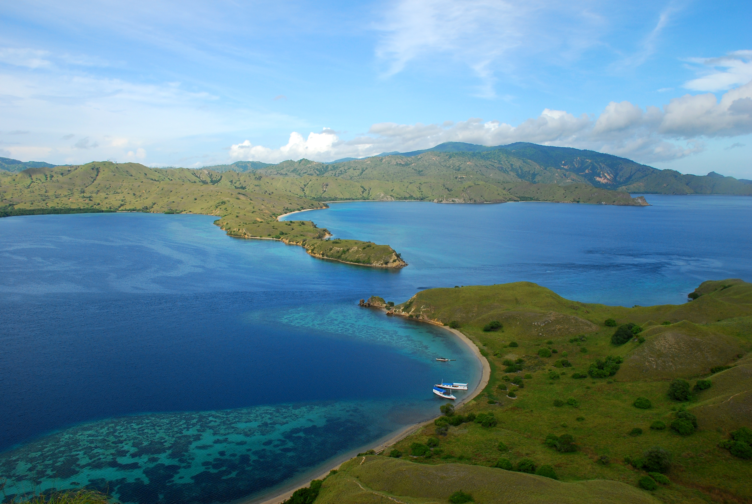 SEAFOAM - The Ocean as a Vital Climate Solution